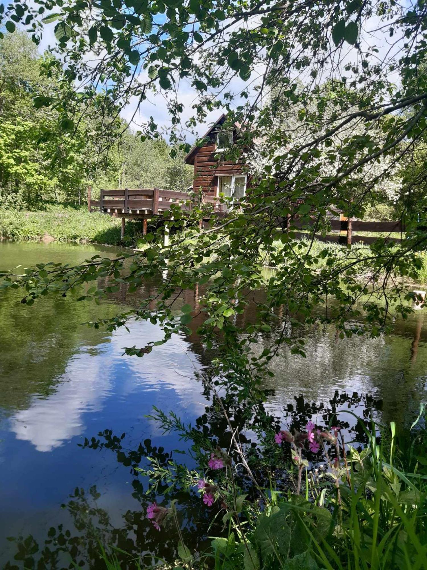 Pod Dobrym Adresem- Domek Nad Stawem Cisna Exterior photo